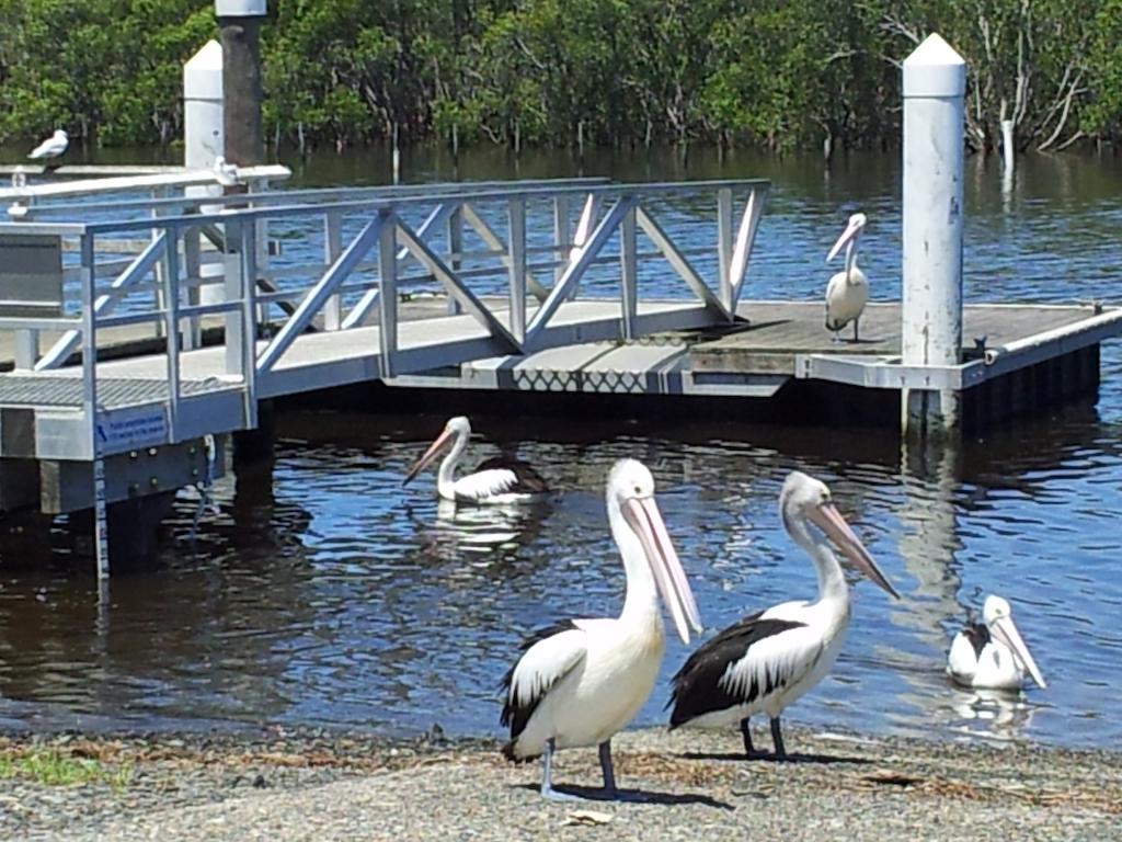 Harrington Village Motel Manning Point Luaran gambar